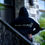 Thumbnail: SLF Hoodie