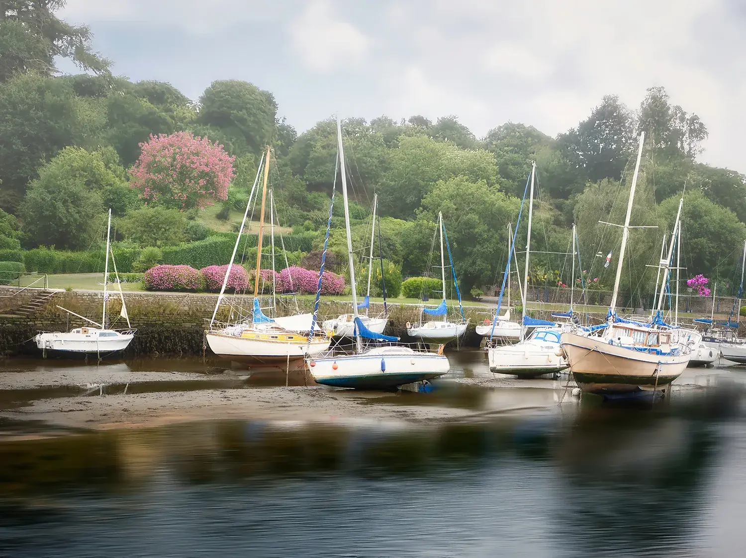 Voiliers blancs et bleus ancrés à marée basse dans estuaire brumeux vaseux, entourés de rhododendrons roses en fleur.Bretagne
