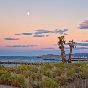 Palmiers en bord de l' océan au crépuscule avec reflets orangé
