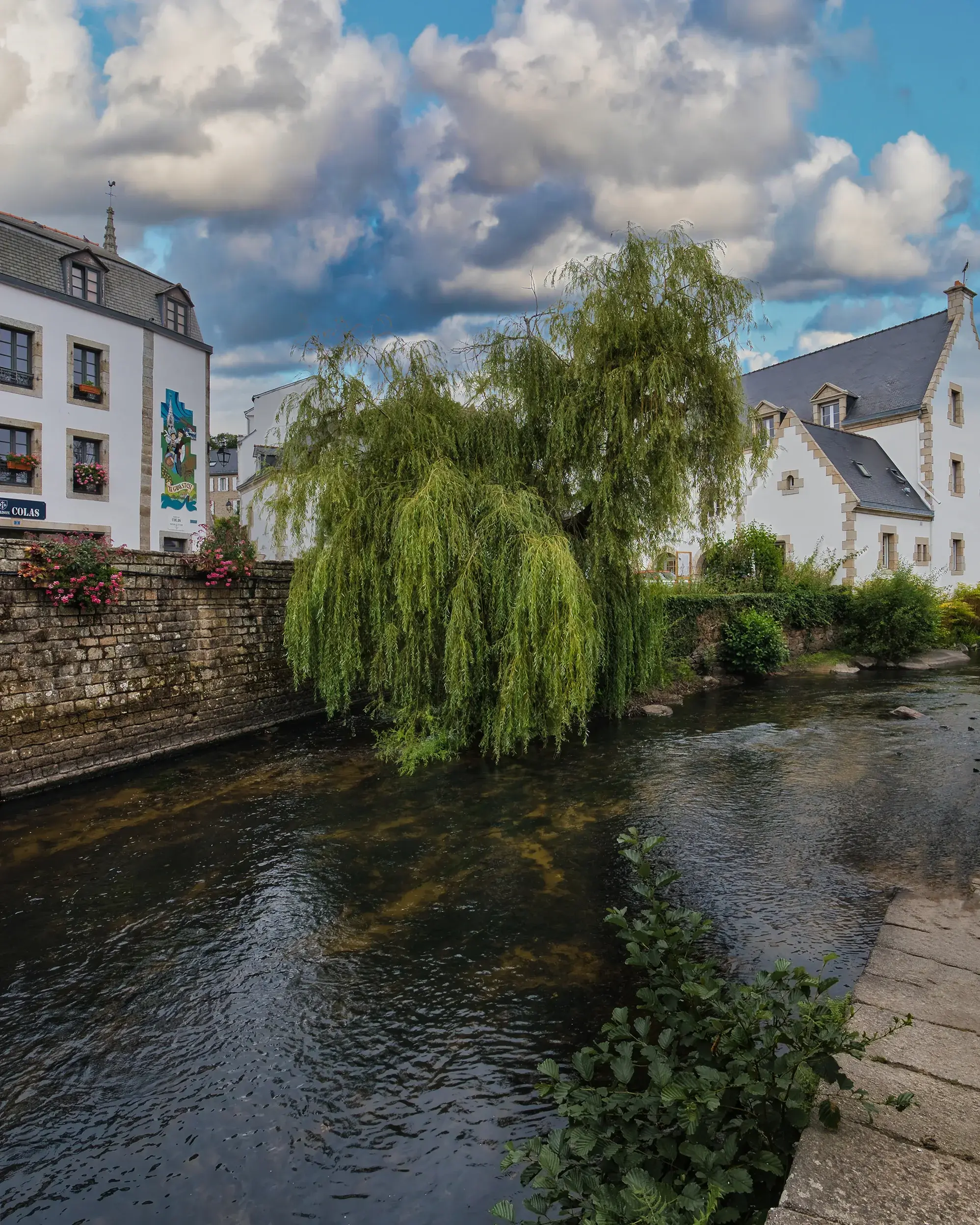 Tirage d'art fine art : saule pleureur Pont-Aven avant chute dans rivière Aven Bretagne, maisons blanches remparts paysage