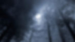 Into the Darkness: A Winter One Day Retreat