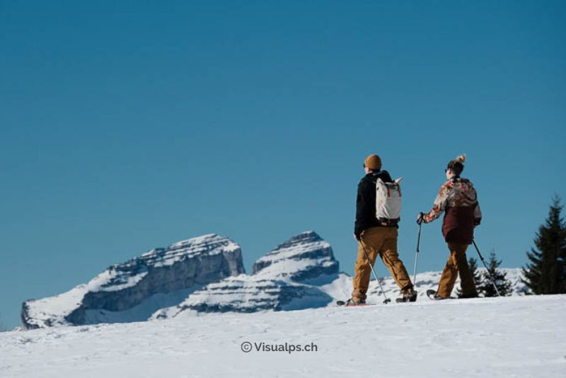 Col du Pillon - Chalet du Rard - Lac Retaud (VD) - 22 janvier 2026