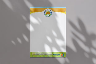 עיצוב לוגו ונייר