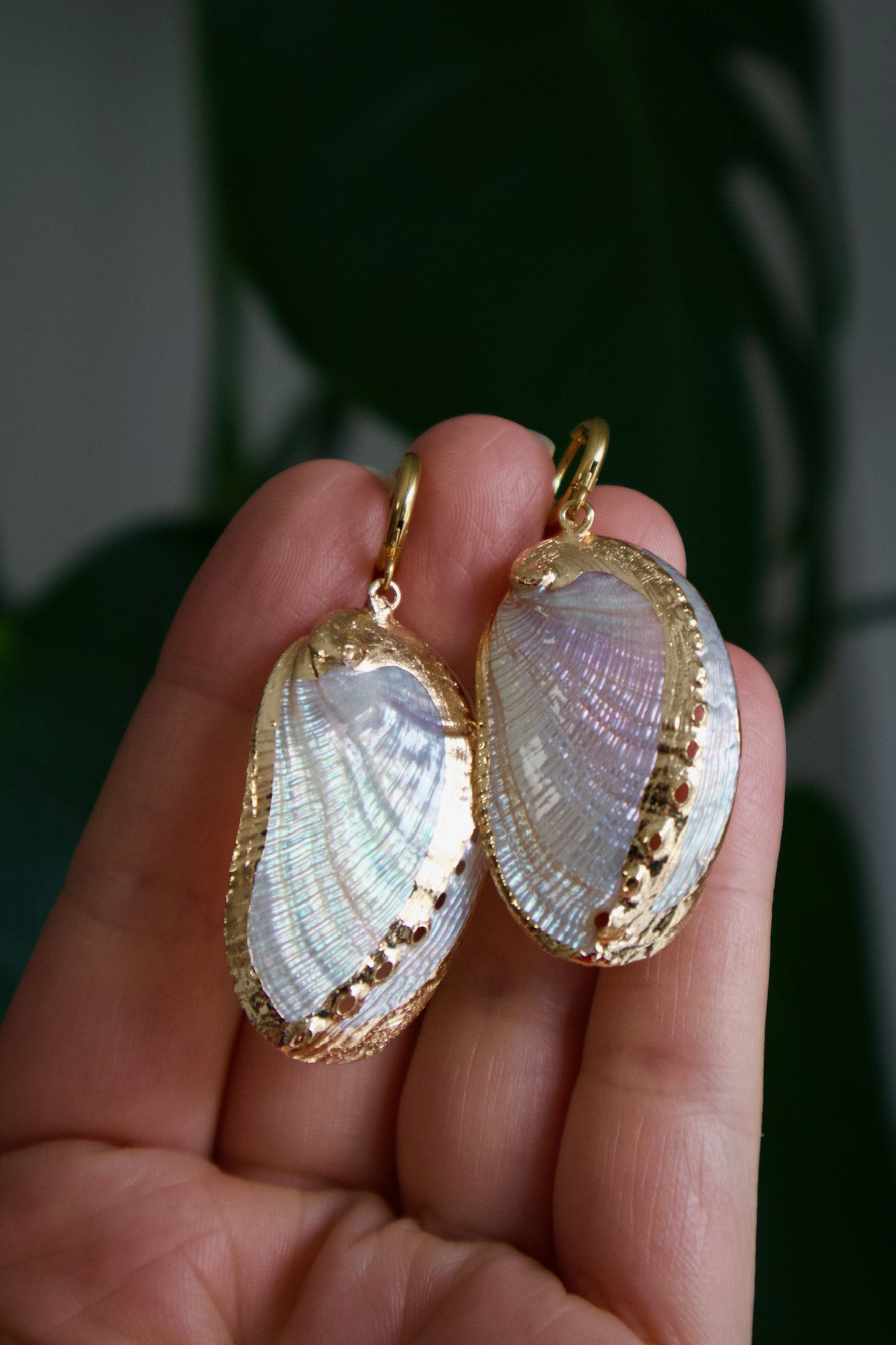 Iridescent Shell Earrings