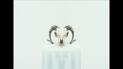 untitled image