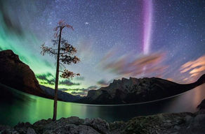 ¡Fascinante...mucho para explorar!