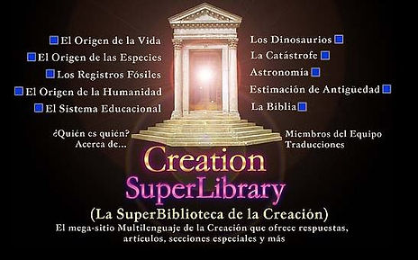 biblioteca.JPG