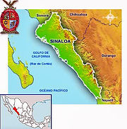 sinaloa(1)_edited.jpg