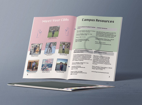 CDA Handbook