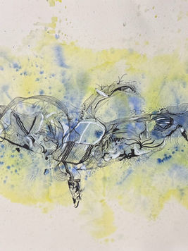 Beauty of Whale