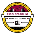 excel badge.png
