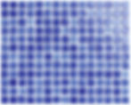 FOG - Azul 3002 - 310x390