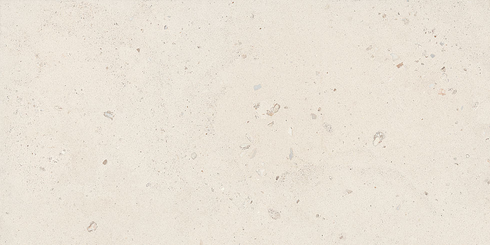SHELL6 12_11