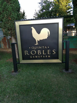PL Robles