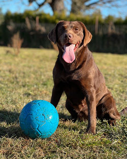 2A18ABFE-9B46-42D3-8262-5477BB136B2F