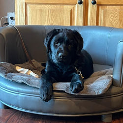 E64A4CC1-CBCC-492F-9918-446396934BAE