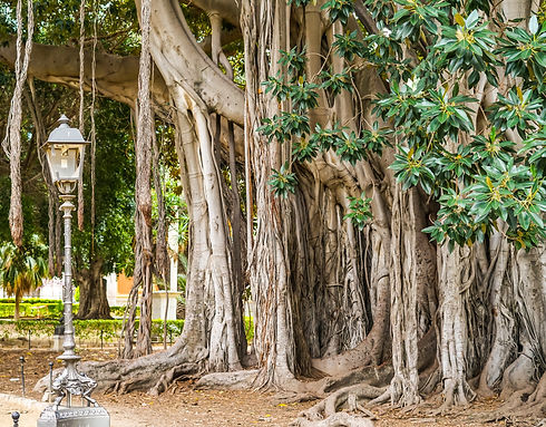 adobestock_265288808.jpeg