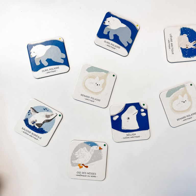 Miniature : SASSI - Protégeons les animaux : La banquise