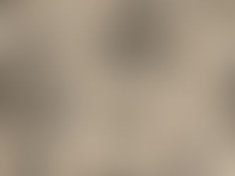 The Changing Threads of Fashion and the Need for a New Business Model