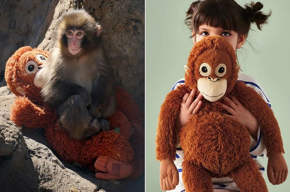 Internet Fell in Love with Punch and IKEA TURNED VIRALITY INTO TRANSACTIONS