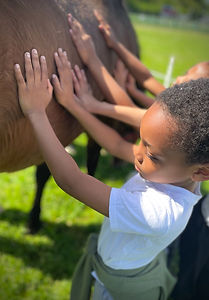 IMG_1960.JPG