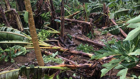 La agricultura es mi pasión y no me quito