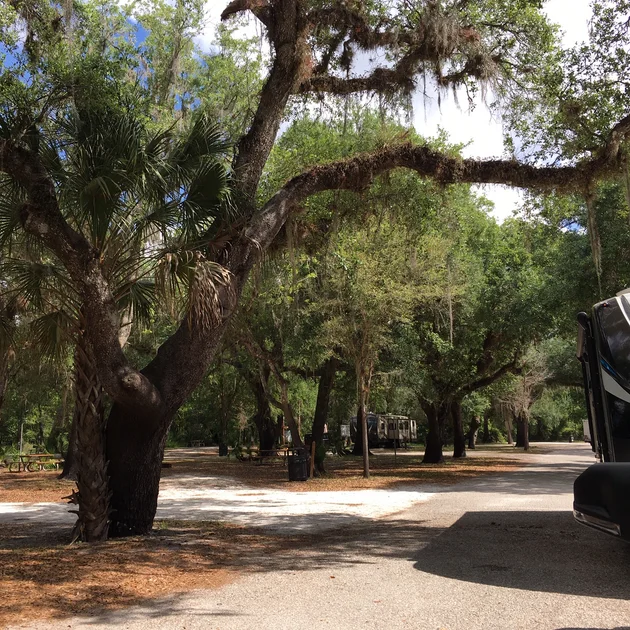 brownsville park.webp