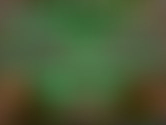 5/8 マイクラパーティー開催 【まずはやってみる!】