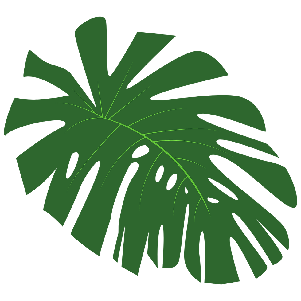 2.png