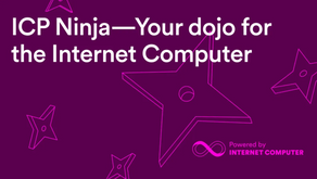 ICP Ninja: インターネットコンピュータのための道場