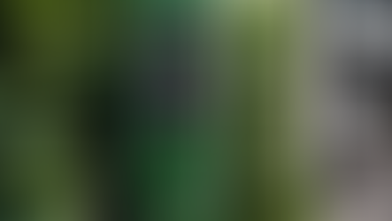 Investimento em Combustíveis Renováveis: realidade e oportunidade parte 1