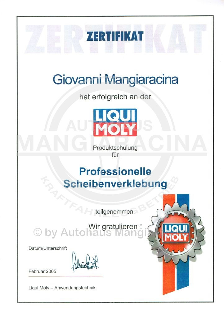 Scheibenverklebung 2005