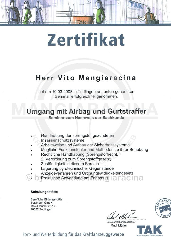 Airbag und Gurtstraffer 2008