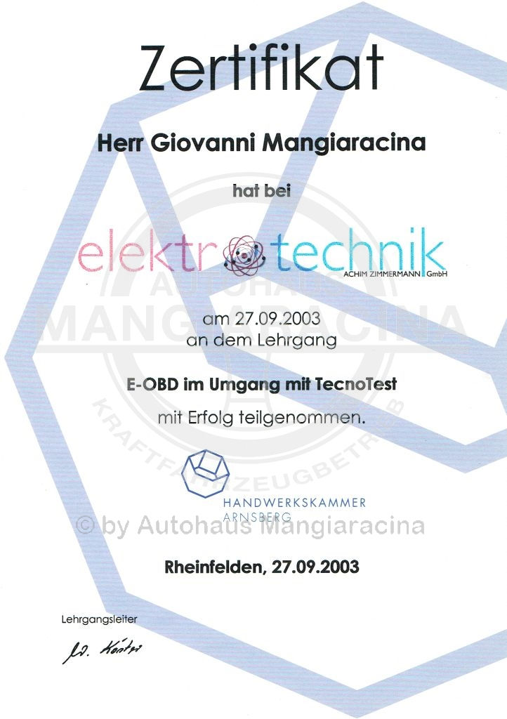 E-OBD 2003