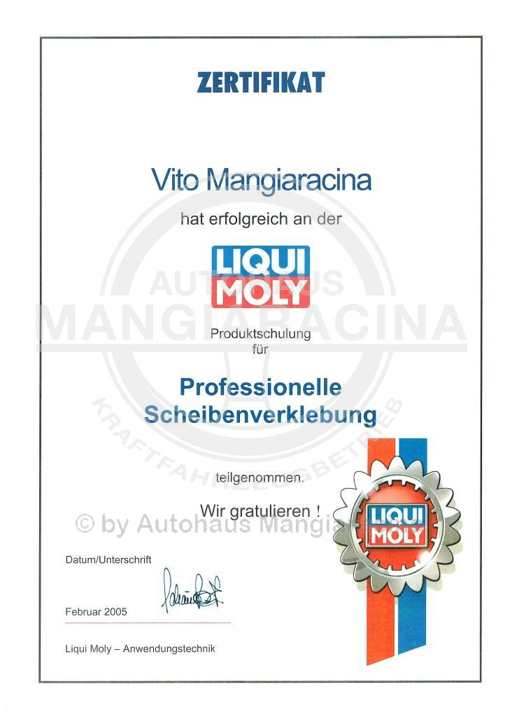 Scheibenverklebung 2005
