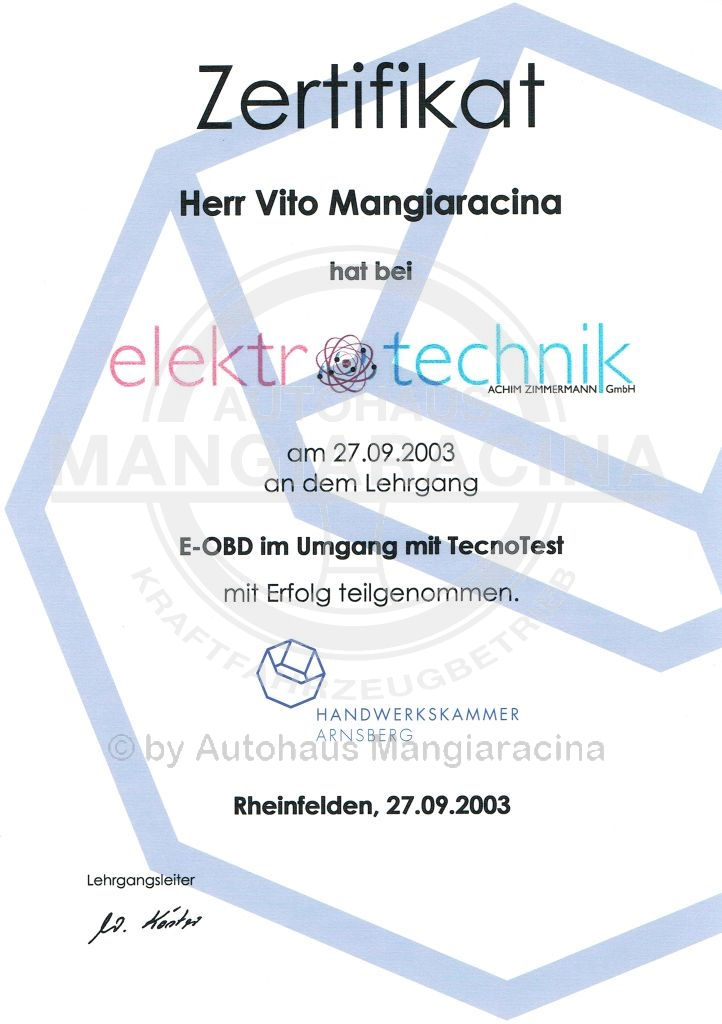 E-OBD 2003