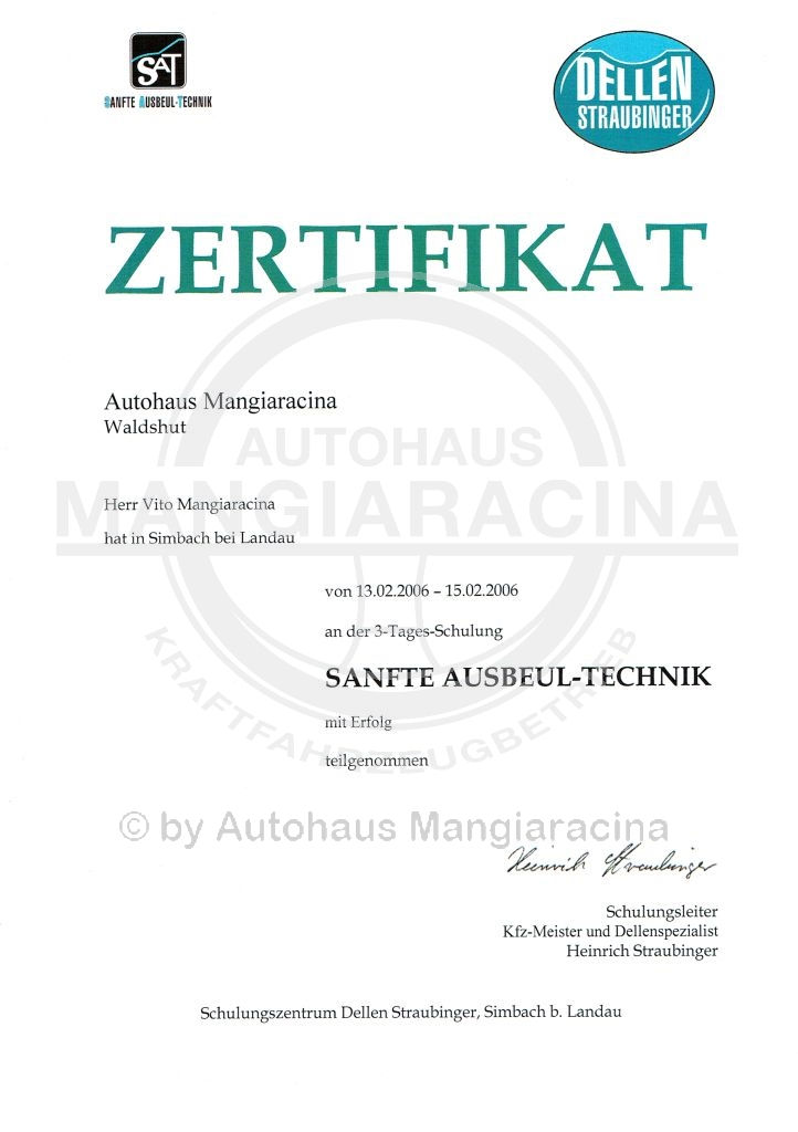 Sanfte Ausbeultechnik 2006