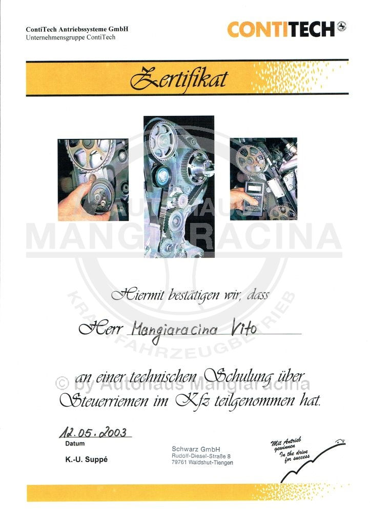 Contitech 2003