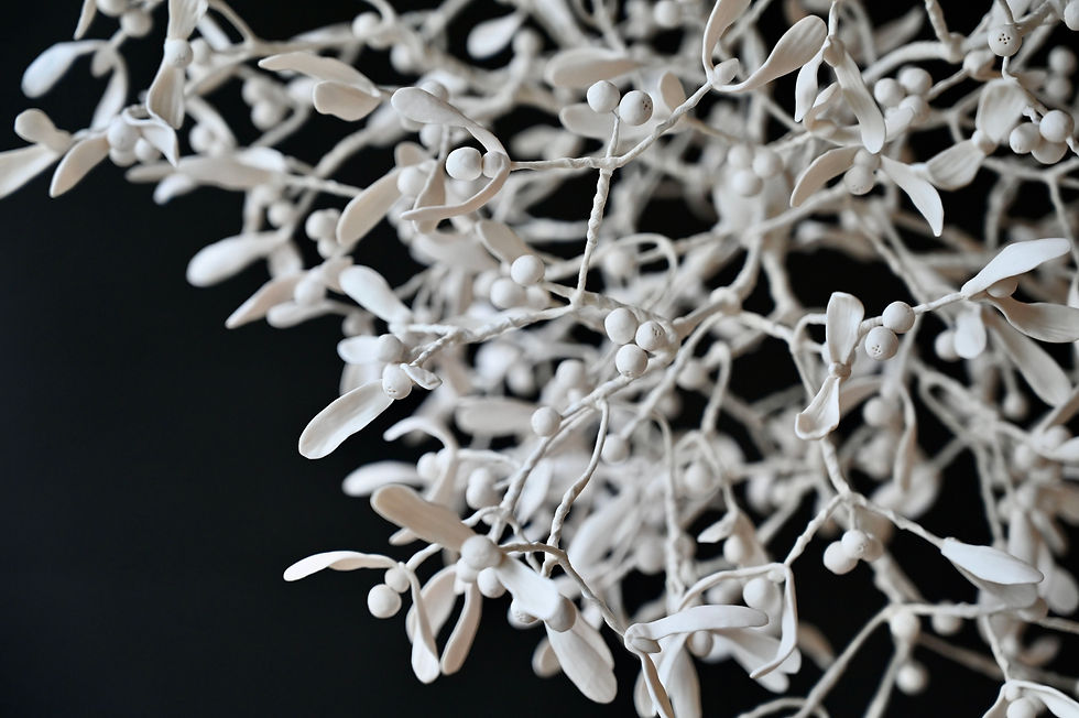 Thumbnail: Hanging Mistletoe | 50 cm | By Zuleika Melluish