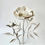 Thumbnail: November: Peony | h. 30 cm | By Zuleika Melluish