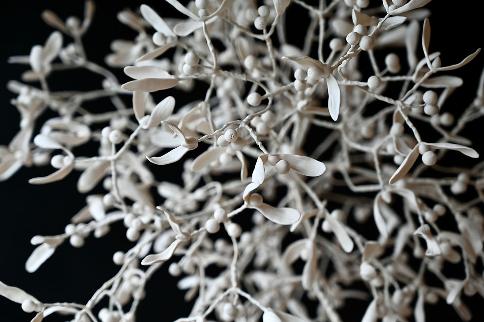 Thumbnail: Hanging Mistletoe | 50 cm | By Zuleika Melluish