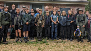 Wild New Forest Summer 2023 Wildlife Camp