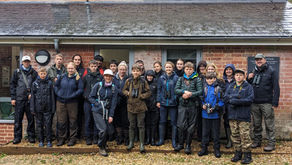 Wild New Forest Autumn 2023 Wildlife Camp