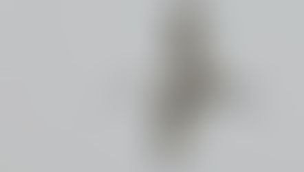 Wild New Forest April newsletter