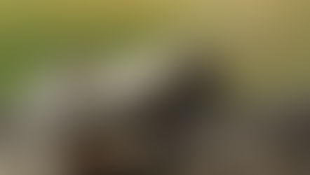 October 2023 Newsletter