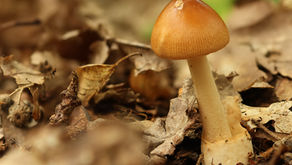 August 2023 Newsletter