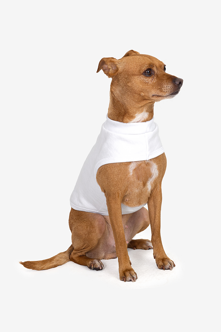 Thumbnail: Heavy Fleece Dog Vest
