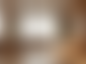 Designing Your Ideal Custom Slat Partition Design