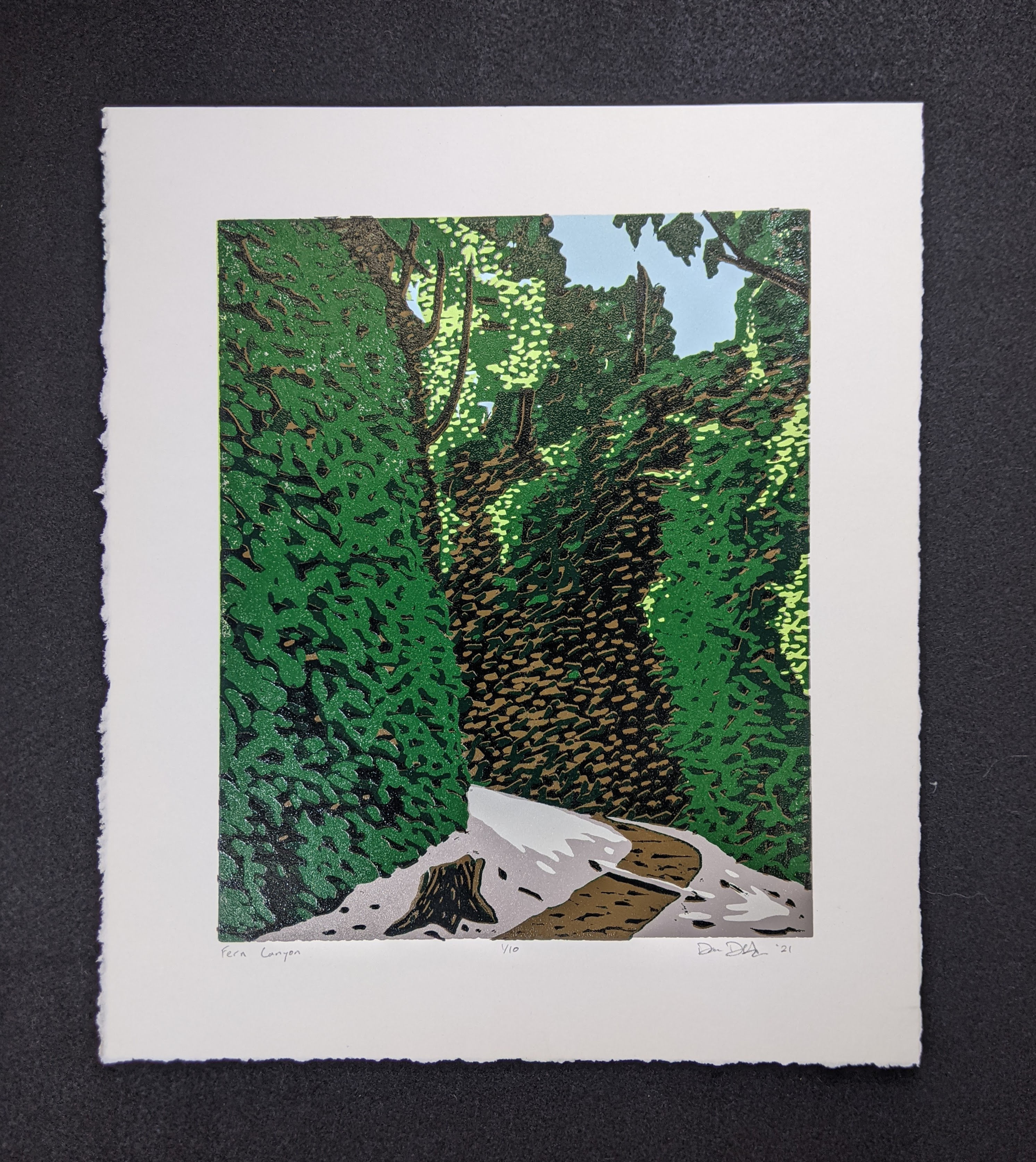 'Fern Canyon'