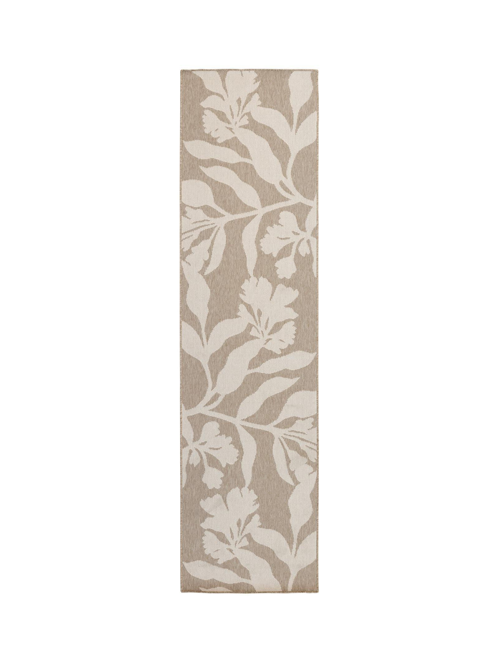 Wildvine Runner in Desert